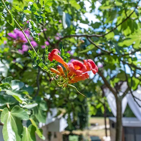 Villa Nada, Paradise By The Sea And Beaches *