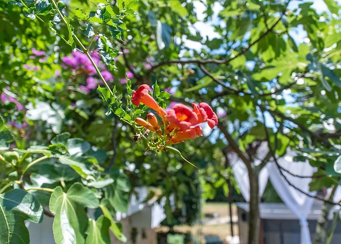 Villa Nada, Paradise By The Sea And Beaches *