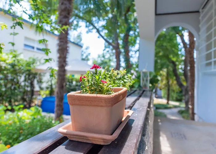 Nada, Paradise By The Sea And Beaches Omišalj