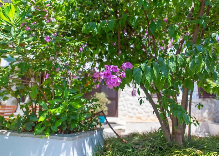 Nada, Paradise By The Sea And Beaches *